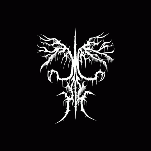 Ancient Boreal Forest : An Eternal Winter Landscape